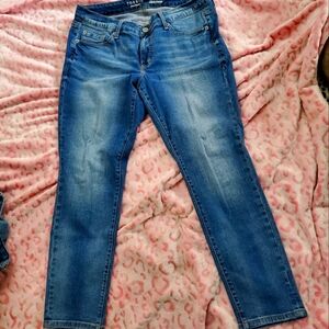 Torrid Women's Perfect Skinny Vintage Stretch Jeans